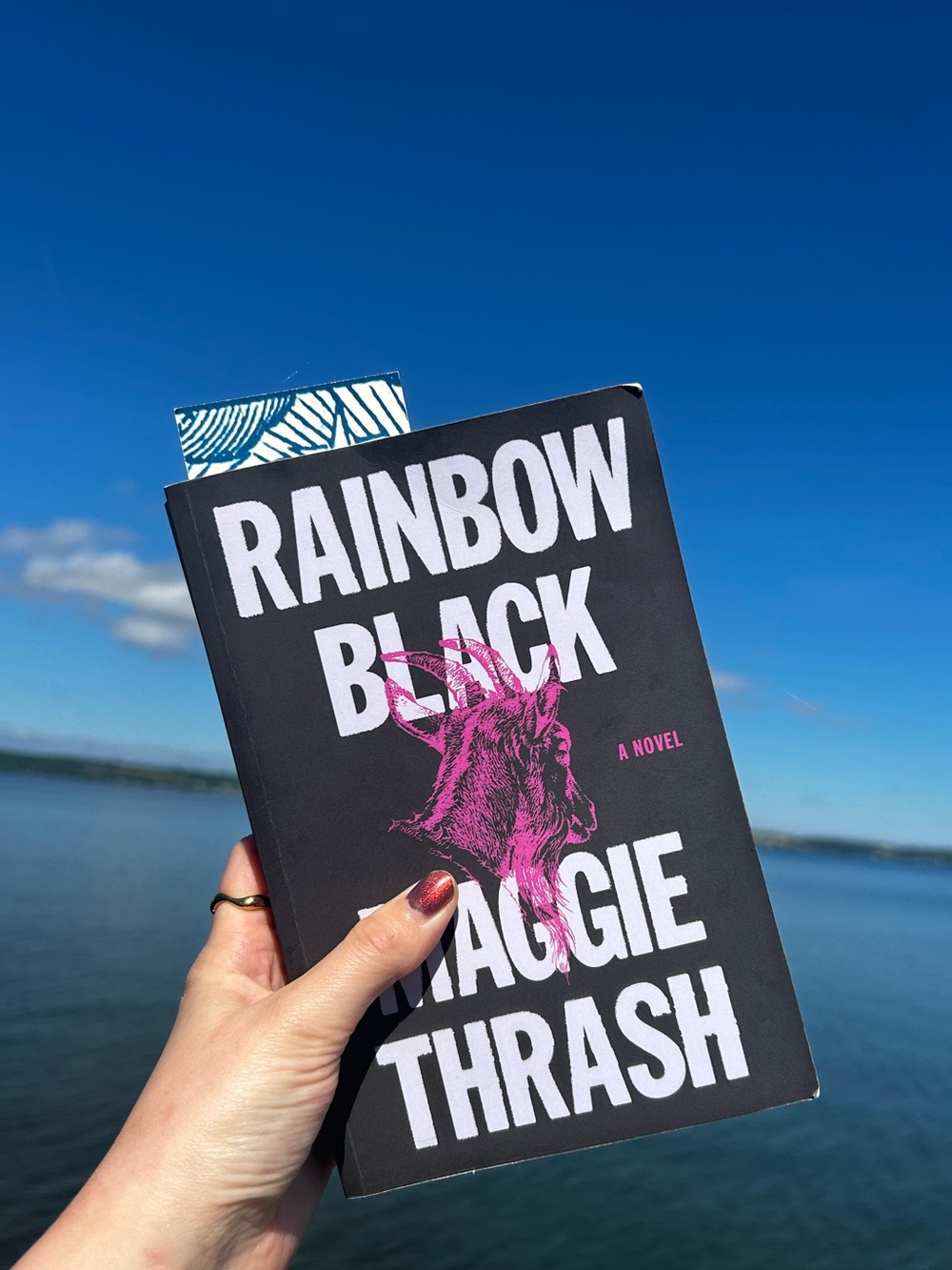 Rainbow Black by Maggie Thrash - Black & Pink Softcover Novel